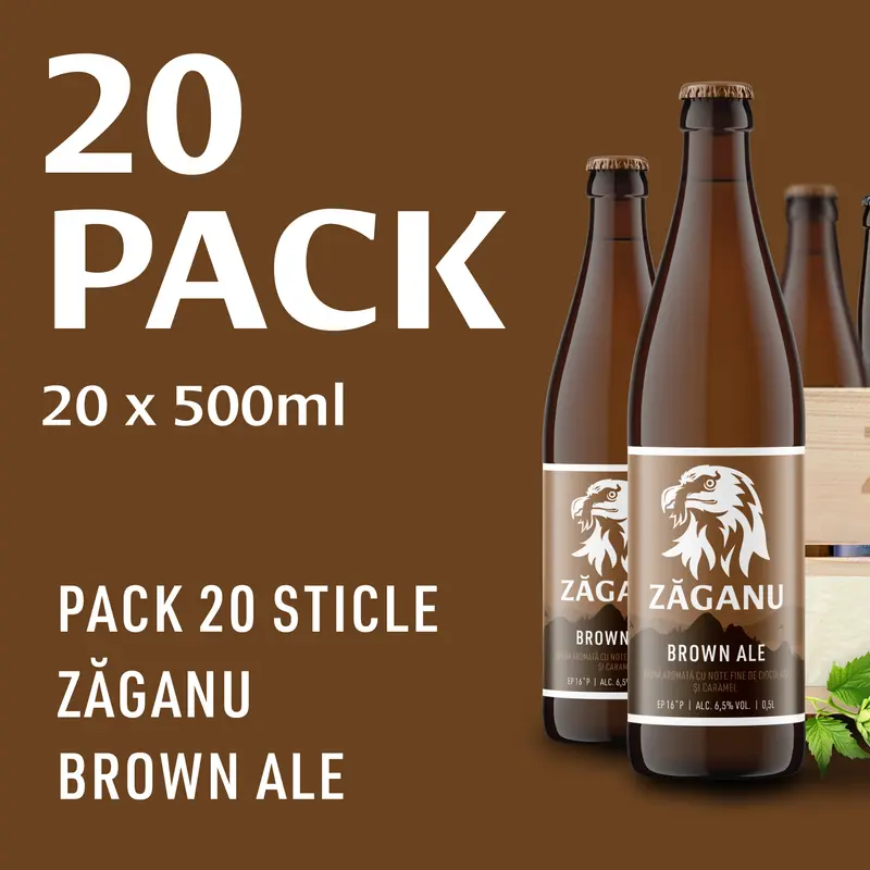 20 pack ZĂGANU Brună (Brown Ale) 500 ml