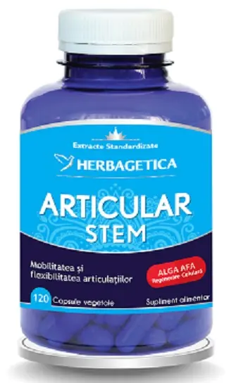 Articular Stem 120 capsule – Herbagetica - Mobilitate zilnică