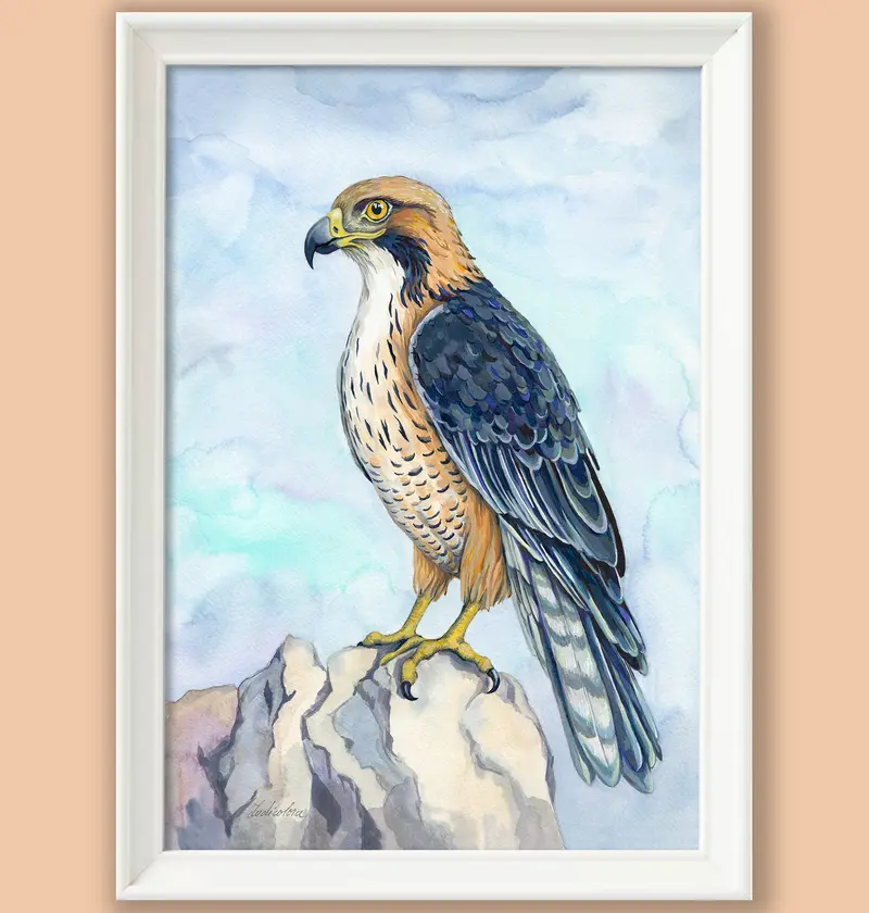 Artprint Șoimul