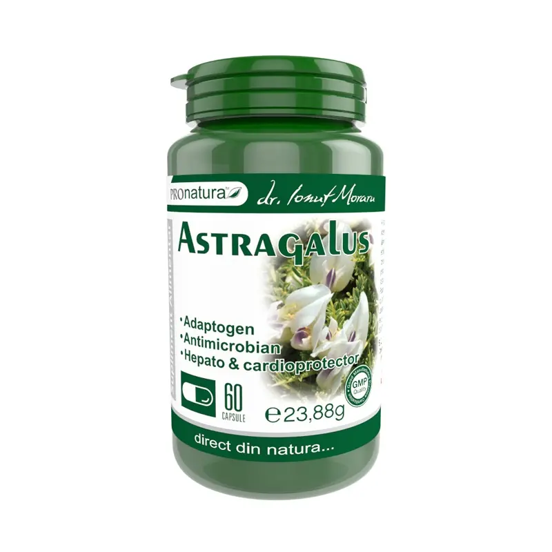 Astragalus 60 capsule – Medica - Vitalitate zilnică