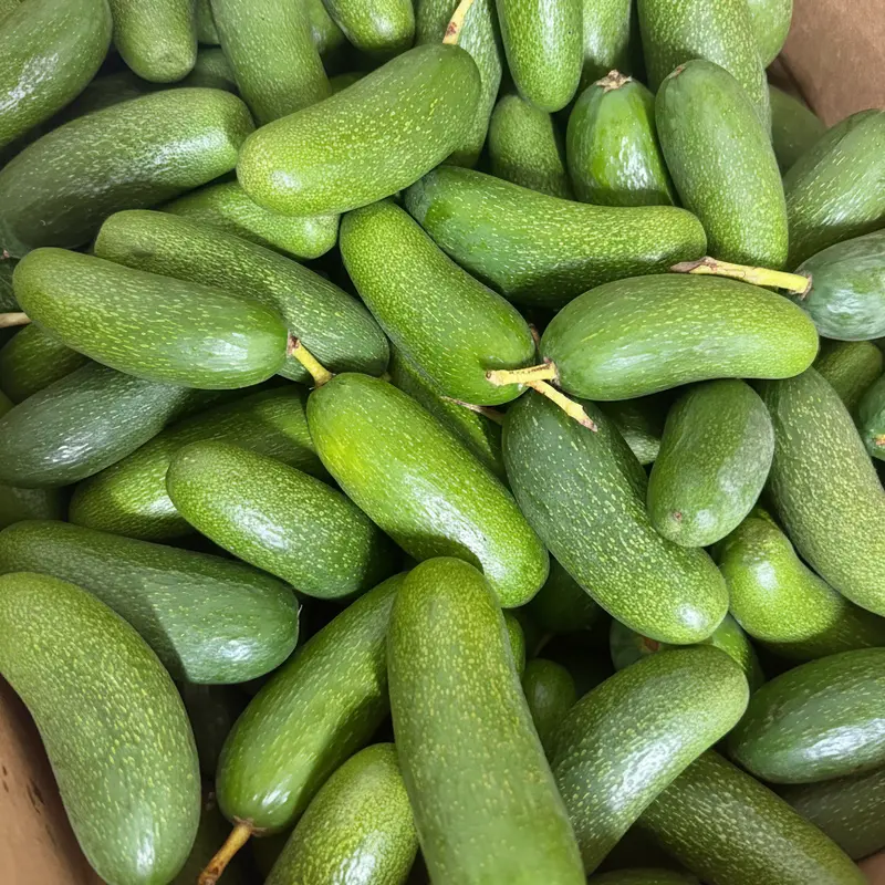 Avocado Cocktail
