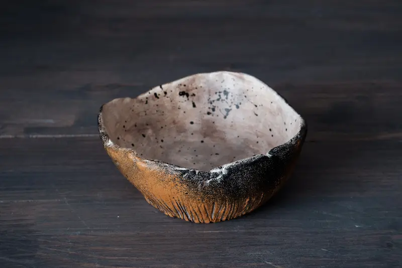 Bol decorativ FOSSIL nr3