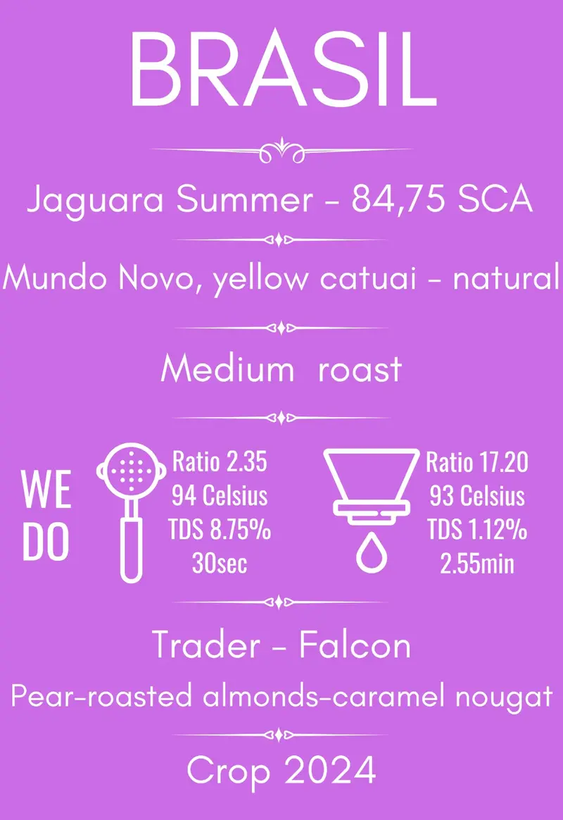 Brazilia Jaguara Summer