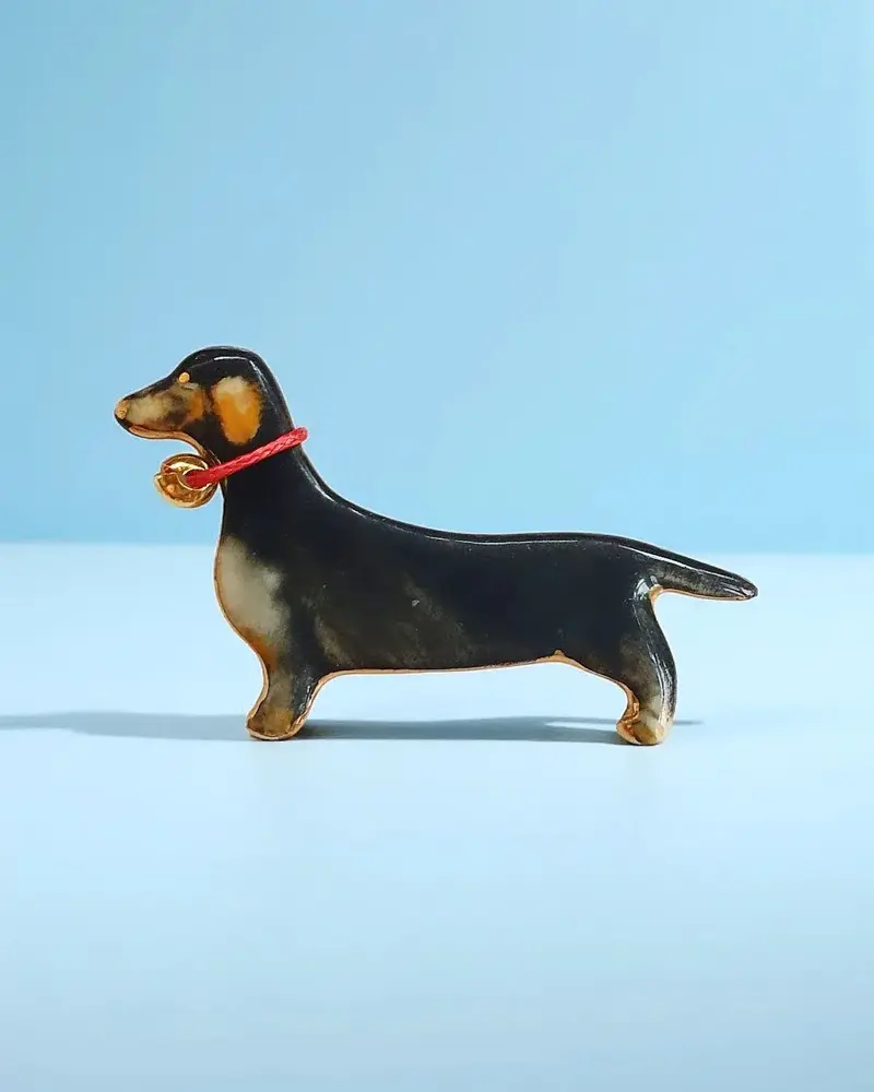 Brosa teckel/dachshund pictata manual