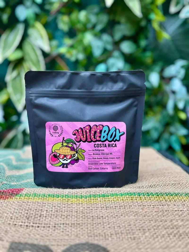 Cafea de Specialitate Costa Rica JUICE BOX