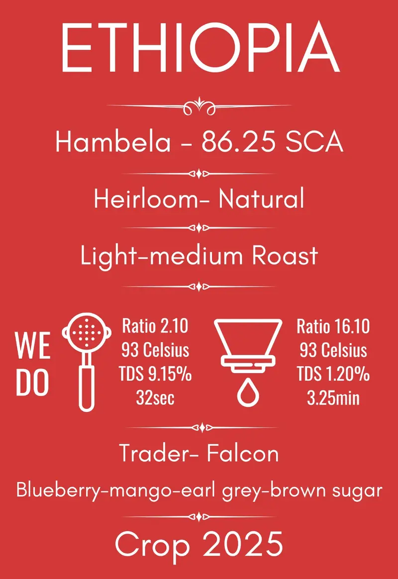 Cafea de specialitate Ethiopia Hambela Guji
