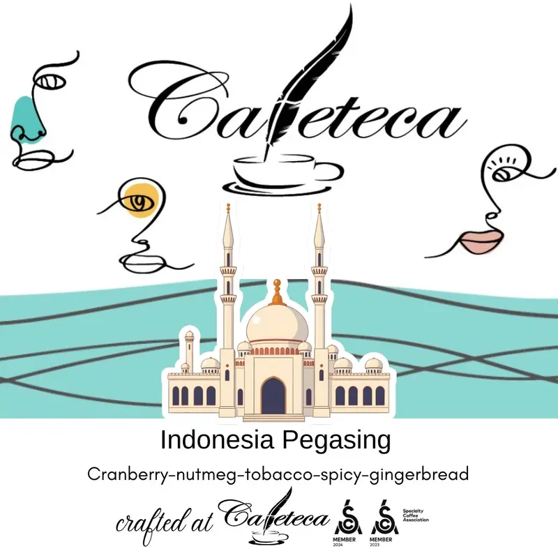 Cafea de Specialitate Indonezia Team Pegasing