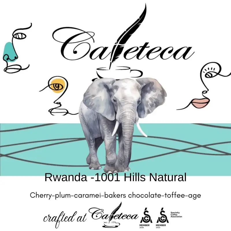 Cafea de Specialitate Rwanda 1001 Hills Natural