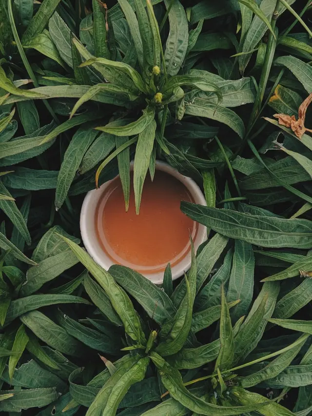 Card cadou TeaShop.ro