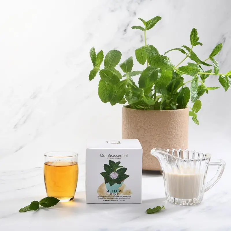 Ceai Quinteassential, Mellow Mint Box, 16 piramide