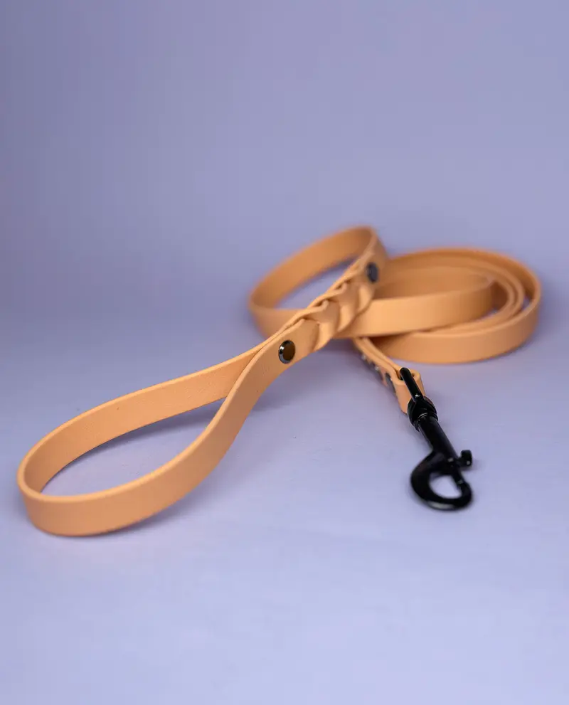 CLASSIC BioThane leash - 1.5m
