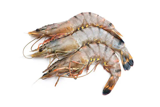 Creveti Black Tiger Intregi Mari 4-6 buc/kg