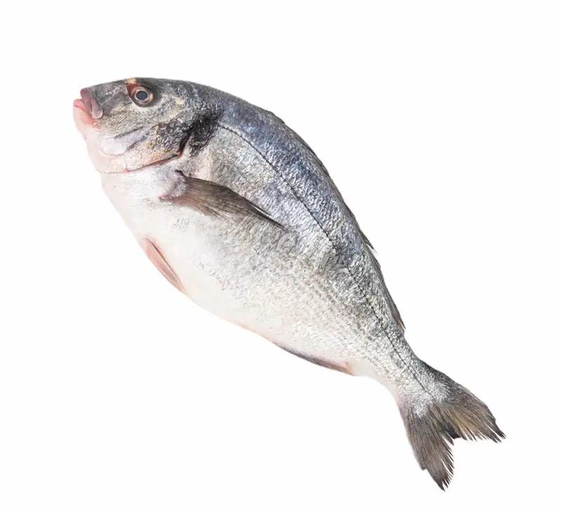 Doradă Regală Evisceratā, 700-800g/buc