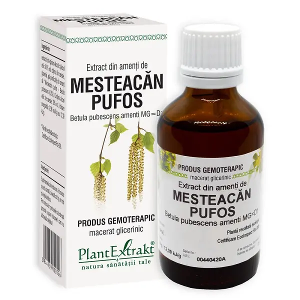 Extract din amenți de mesteacăn pufos 50 ml – Plantextrakt