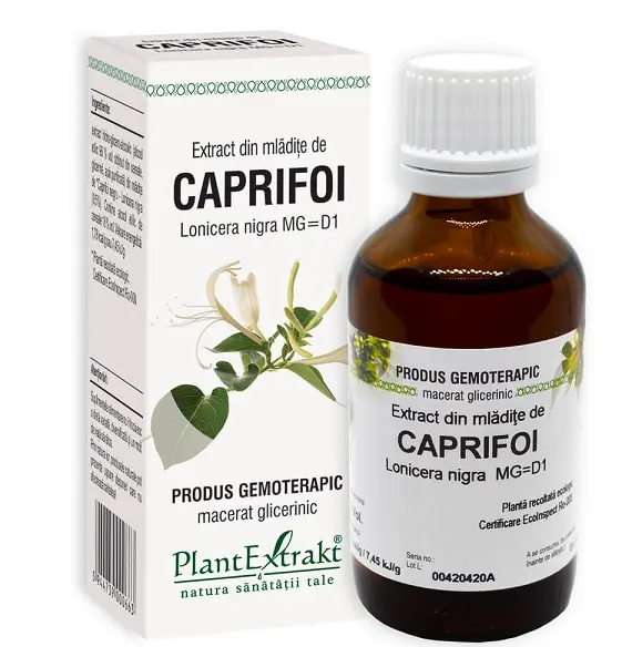 Extract din mlădițe de caprifoi negru 50 ml – Plantextrakt