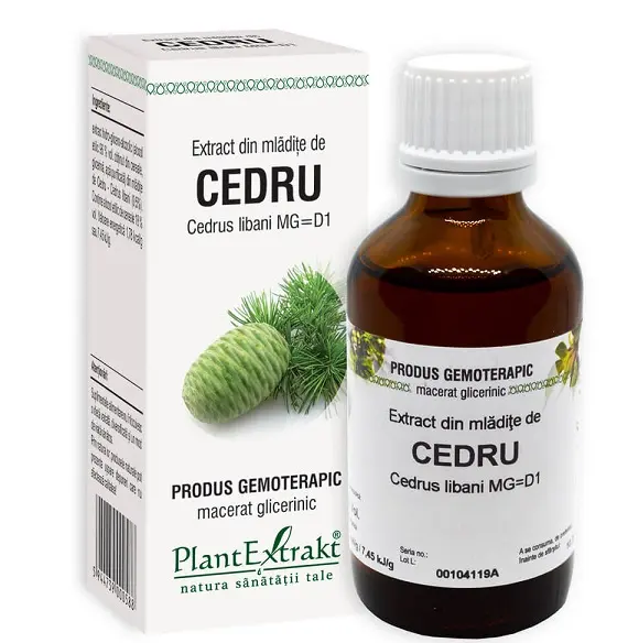 Extract din mlădițe de cedru 50 ml – Plantextrakt