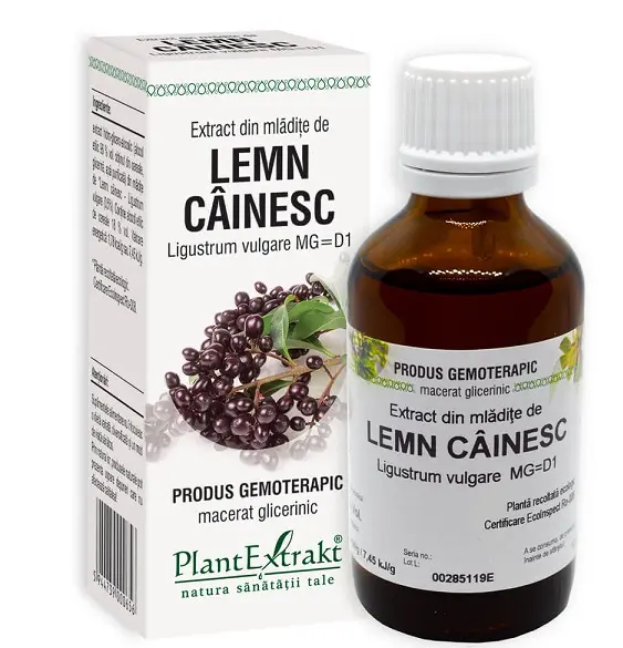 Extract din mlădițe de lemn-câinesc 50 ml – Plantextrakt