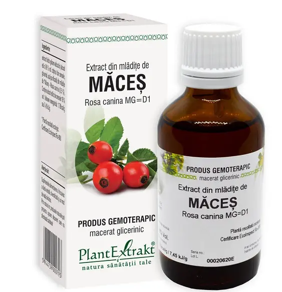 Extract din mlădițe de măceș 50 ml – Plantextrakt