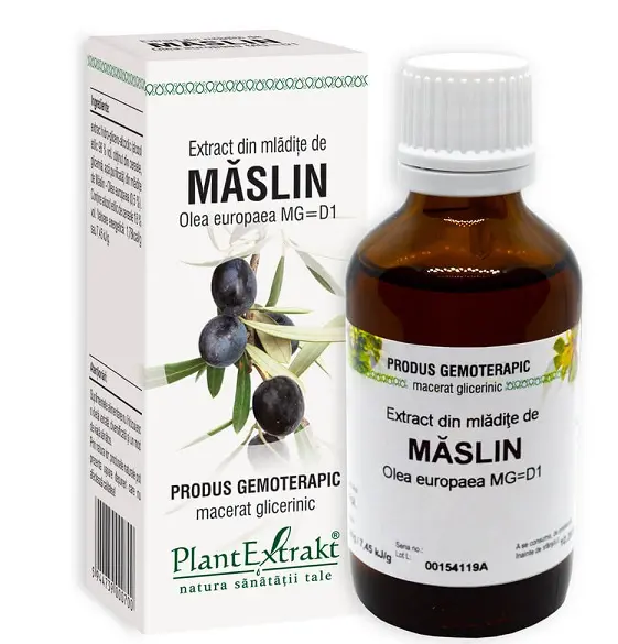 Extract din mlădițe de măslin 50 ml – Plantextrakt