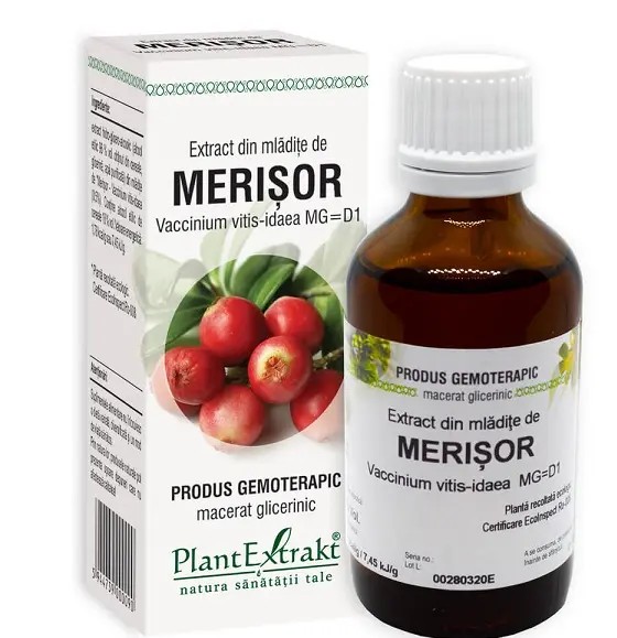 Extract din mlădițe de merișor 50 ml – Plantextrakt