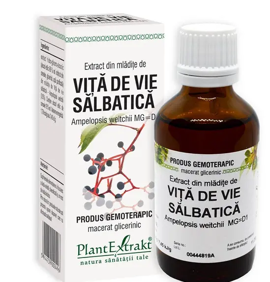 Extract din mlădițe viță vie sălbatică 50 ml – Plantextrakt