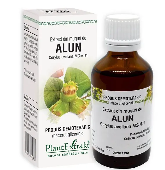 Extract din muguri de alun 50 ml – Plantextrakt