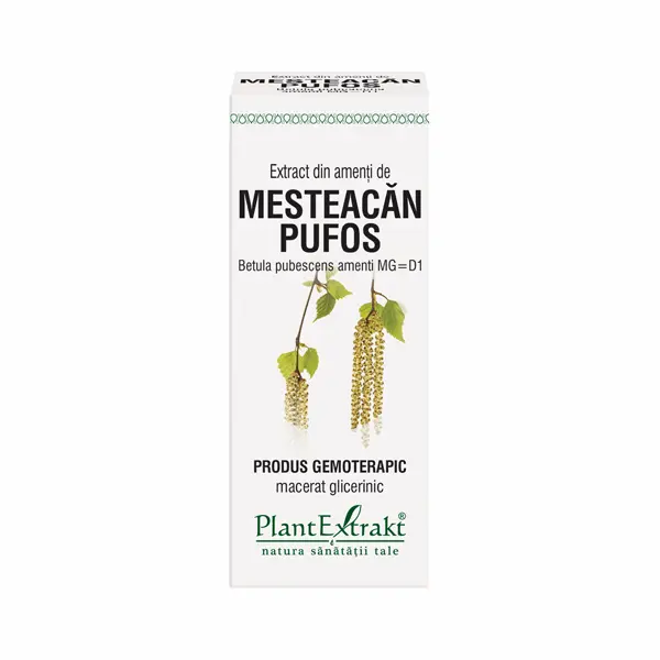 Extract din muguri de Amenti Mesteacan Pufos 50ml Plantmed