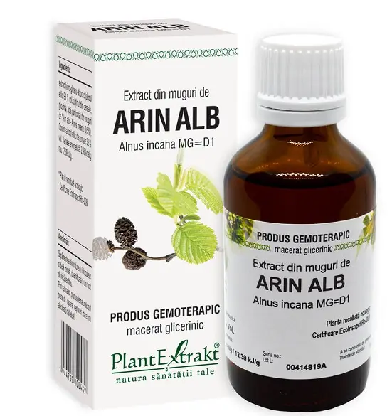 Extract din muguri de arin alb 50 ml – Plantextrakt