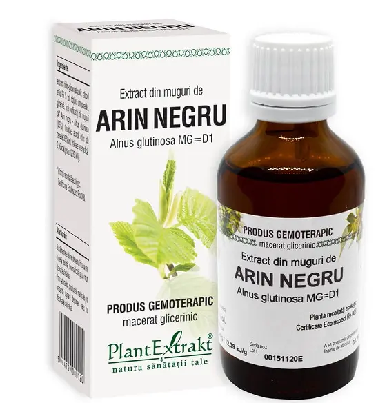 Extract din muguri de arin negru 50 ml – Plantextrakt