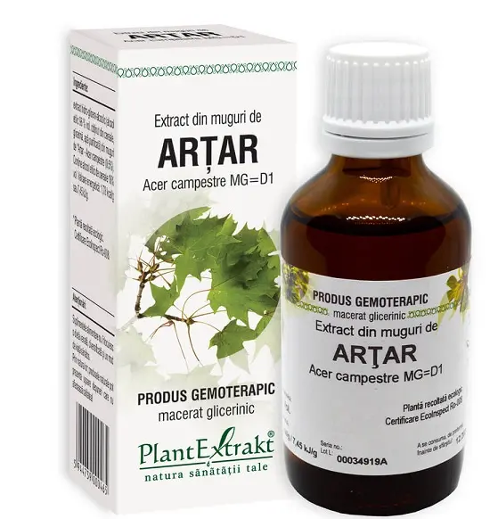 Extract din muguri de arțar 50 ml – Plantextrakt