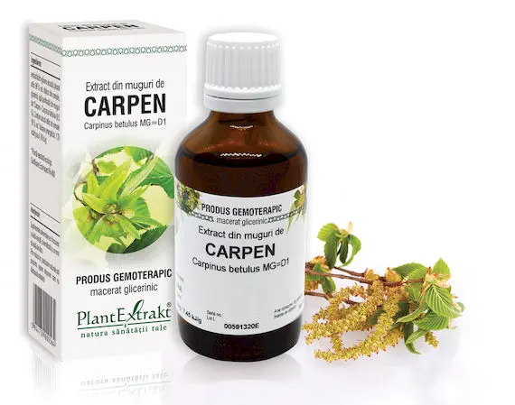 Extract din muguri de Carpen 50ml PlantExtrakt
