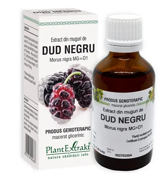 Extract din muguri de dud negru 50 ml – Plantextrakt