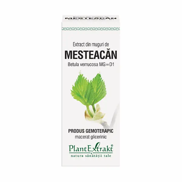 Extract din muguri de mesteacan 50ml Plantmed