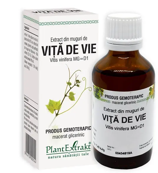 Extract din muguri de viță de vie 50 ml – Plantextrakt