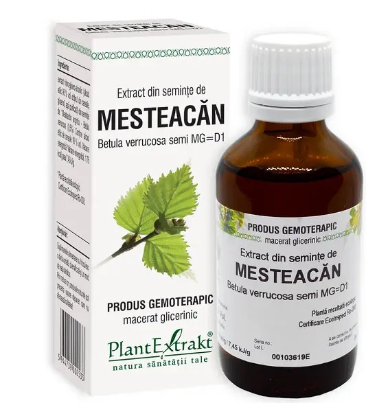 Extract din semințe de mesteacăn 50 ml – Plantextrakt