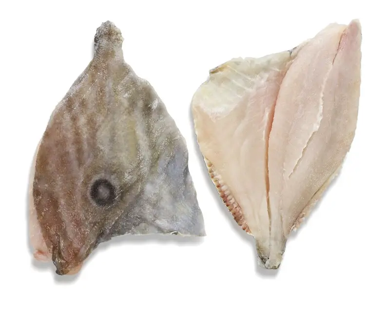 *File Jhon dory (Sfantul Petru) 1KG
