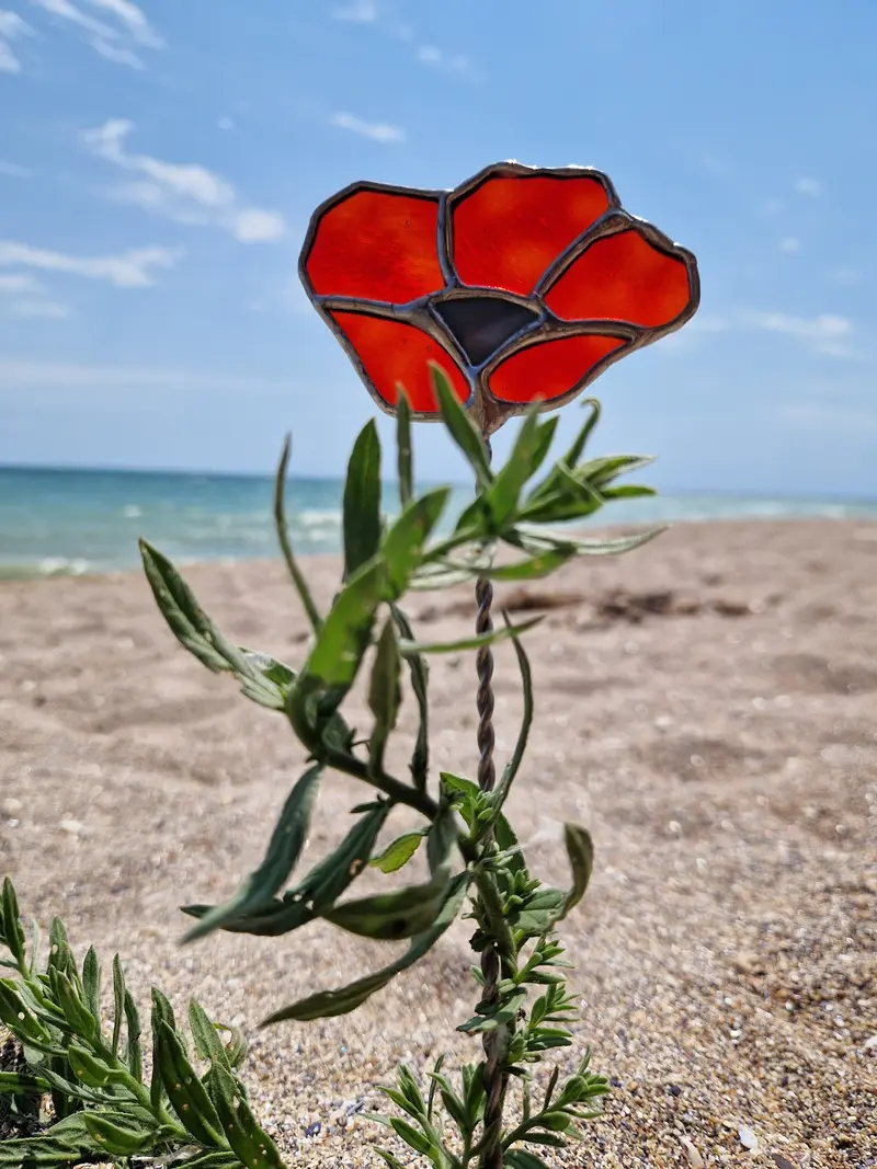 Floare pentru ghiveci