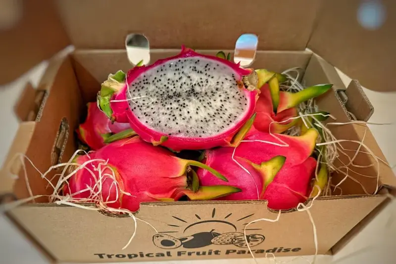 Fructul dragonului alb BIO