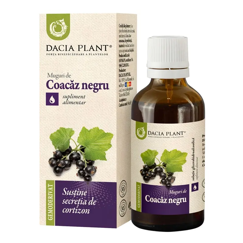 Gemoderivat din muguri de coacăz negru 50 ml – Dacia Plant