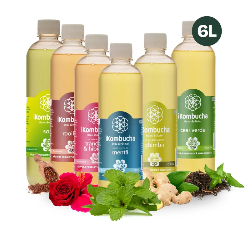 iKombucha - set 12x500 ml 100% ceai Kombucha
