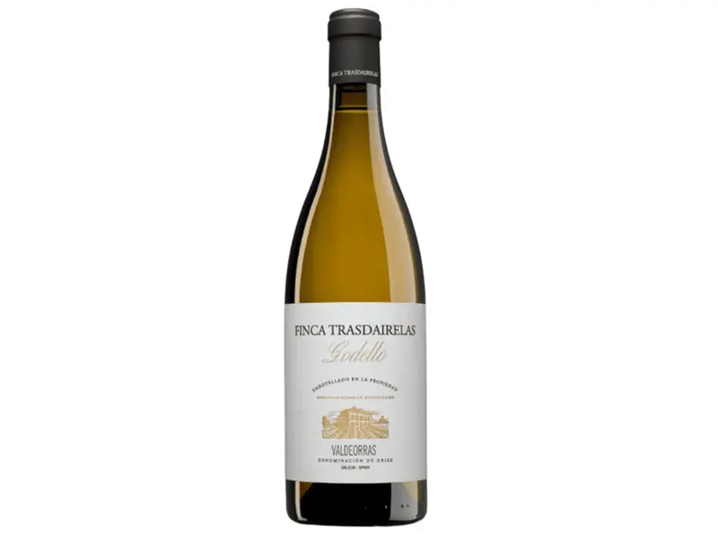 Joaquin Rebolledo - Godello Finca Trasdairelas 2025