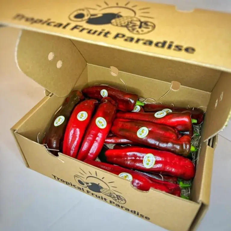Kapia Peppers