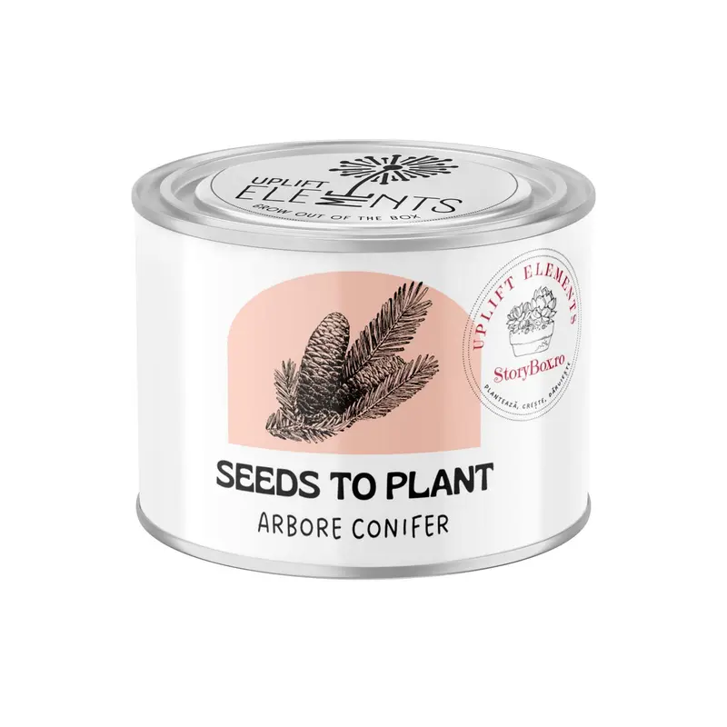 Kit de plantare Uplift, cu seminte de Arbore Conifer si ghiveci de teracota