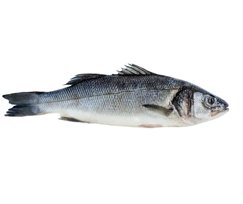 *Lup De Mare Eviscerat (Biban) 400-600gr/buc