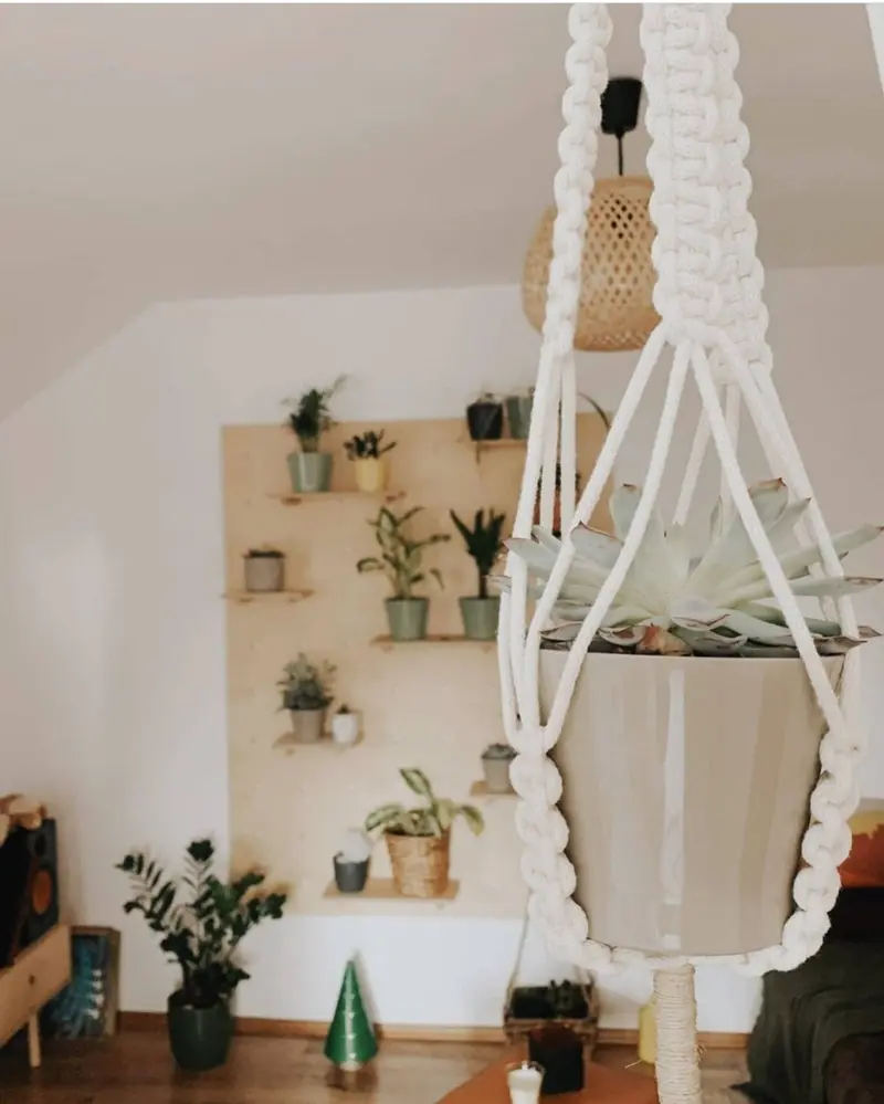 MACRAME PLANT HANGER