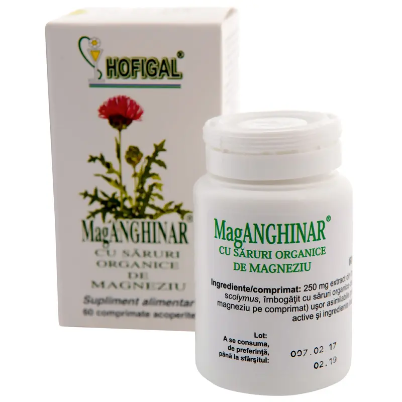 Mag Anghinar 60 comprimate – Hofigal - Digestie și ficat