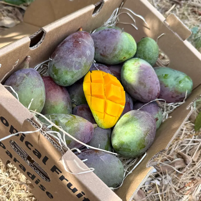 Mango Palmer Baby Gourmet