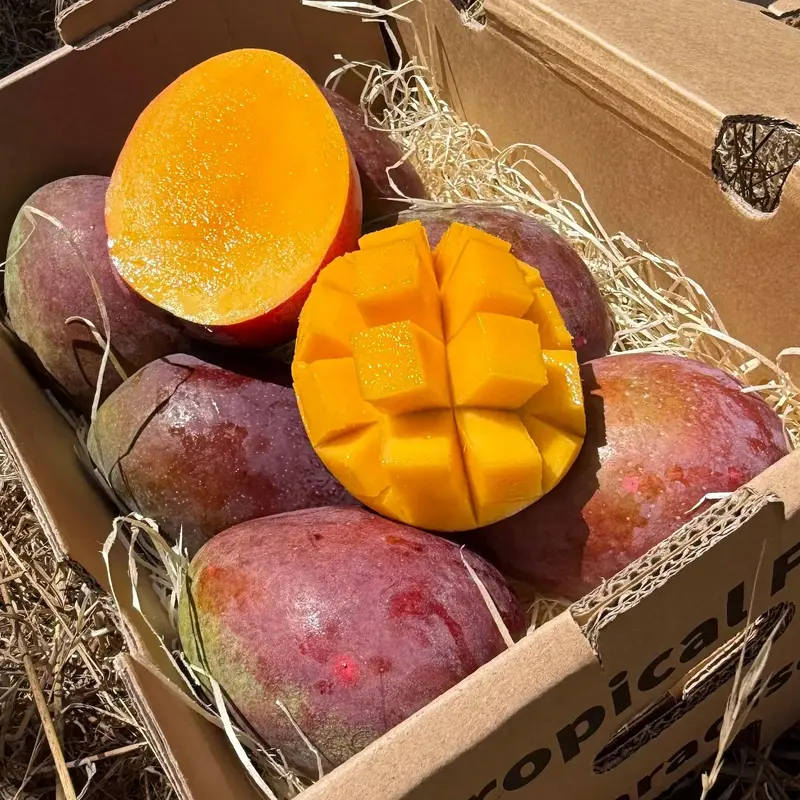 Mango Zill