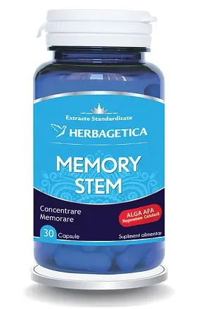 Memory stem 30 capsule – Herbagetica