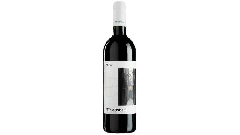 Merlot DOC Venezia 2024 — Tenuta Mosole